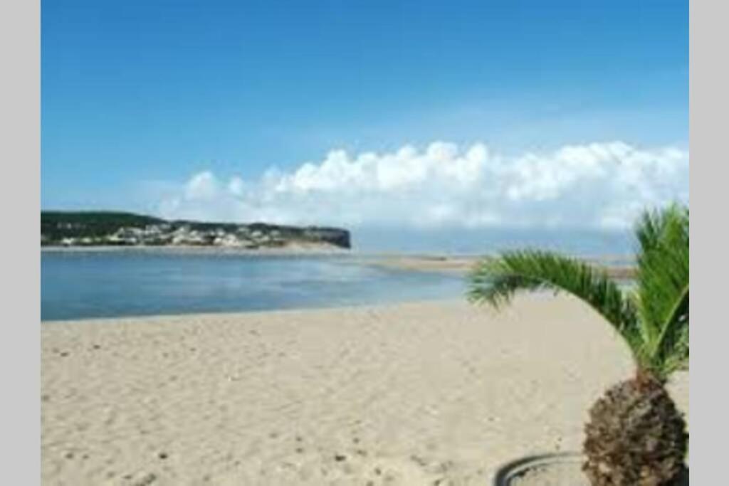 Blue Lagoon - Condominio Fechado Lagoa De Obidos Foz do Arelho Exteriér fotografie